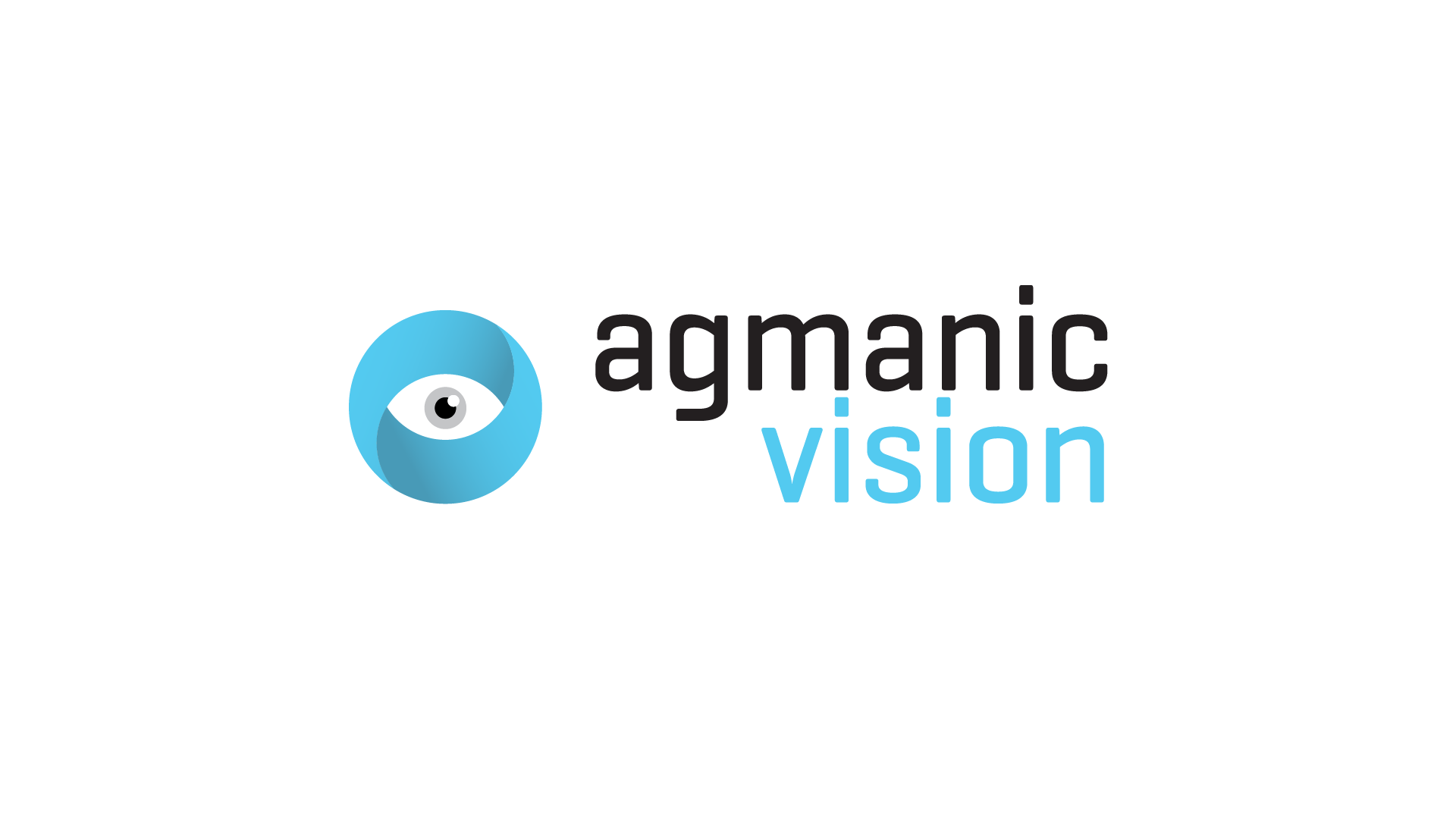 Agmanic Vision